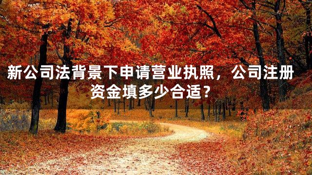 新公司法背景下申请营业执照，公司注册资金填多少合适？