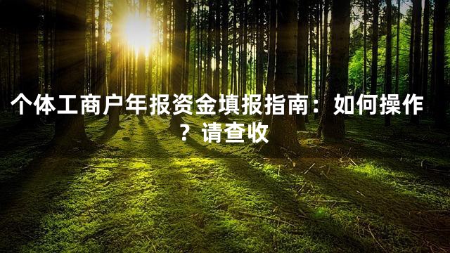个体工商户年报资金填报指南：如何操作？请查收