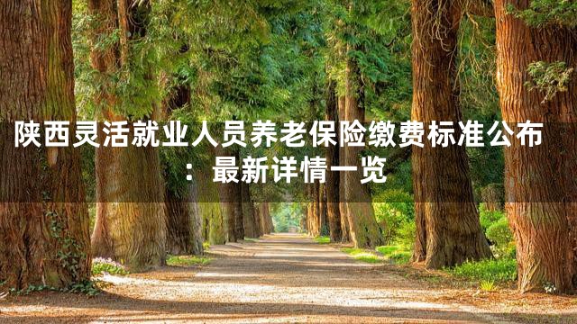 陕西灵活就业人员养老保险缴费标准公布：最新详情一览