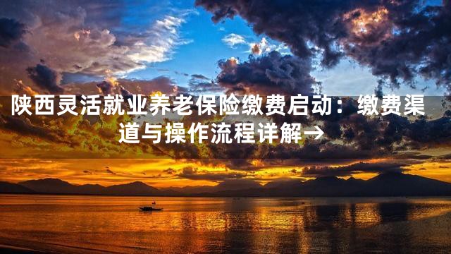 陕西灵活就业养老保险缴费启动：缴费渠道与操作流程详解→