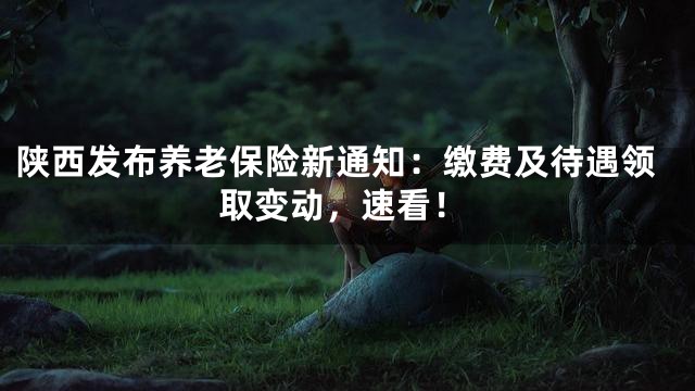 陕西发布养老保险新通知：缴费及待遇领取变动，速看！