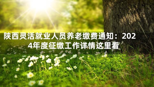 陕西灵活就业人员养老缴费通知：2024年度征缴工作详情这里看