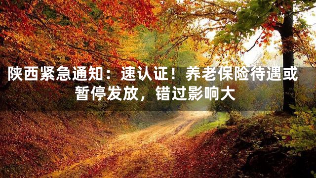 陕西紧急通知：速认证！养老保险待遇或暂停发放，错过影响大