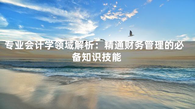 专业会计学领域解析：精通财务管理的必备知识技能