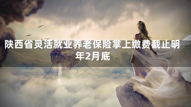 陕西省灵活就业养老保险掌上缴费截止明年2月底