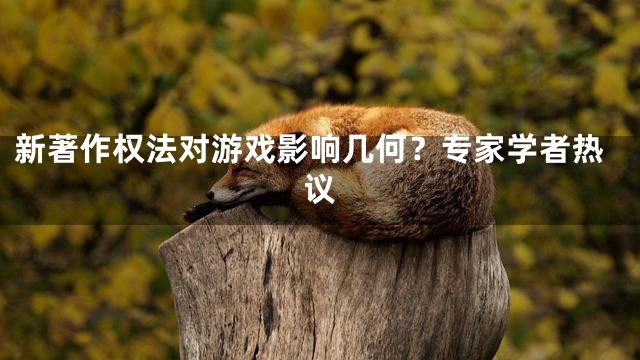新著作权法对游戏影响几何？专家学者热议