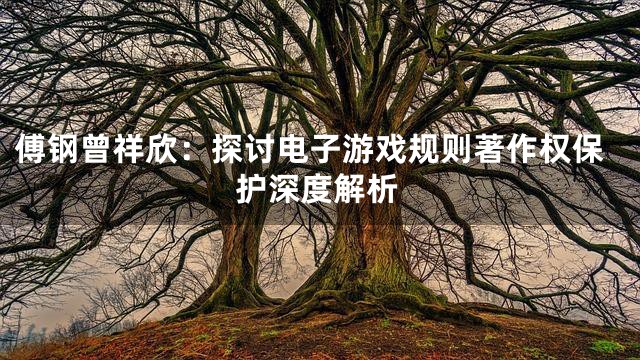 傅钢曾祥欣：探讨电子游戏规则著作权保护深度解析