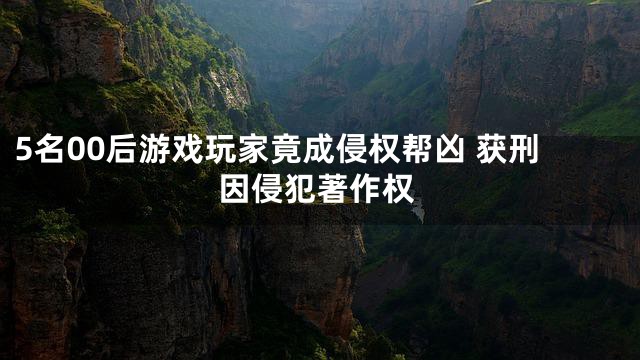 5名00后游戏玩家竟成侵权帮凶 获刑因侵犯著作权
