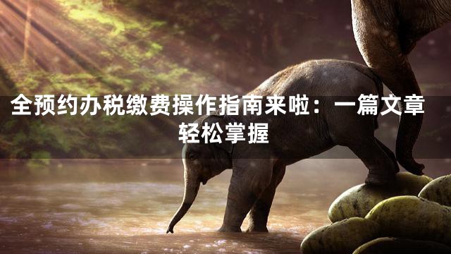 全预约办税缴费操作指南来啦：一篇文章轻松掌握