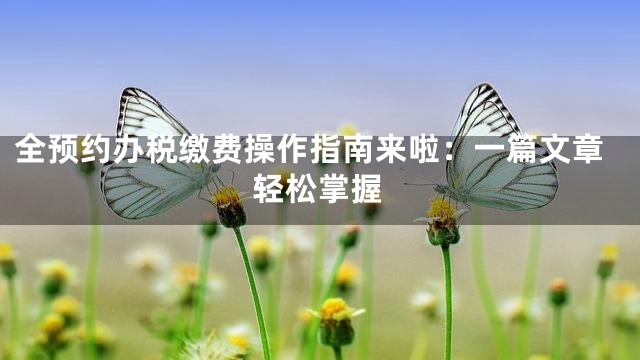 全预约办税缴费操作指南来啦：一篇文章轻松掌握