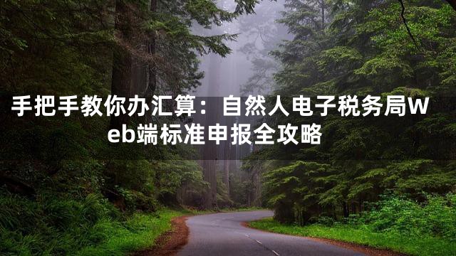手把手教你办汇算：自然人电子税务局Web端标准申报全攻略