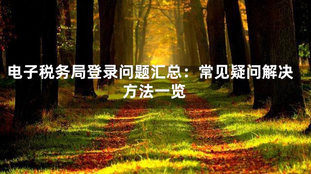 电子税务局登录问题汇总：常见疑问解决方法一览