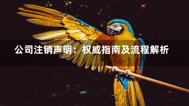 公司注销声明：权威指南及流程解析