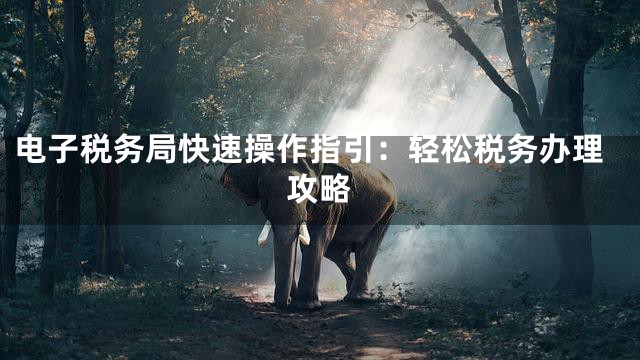 电子税务局快速操作指引：轻松税务办理攻略