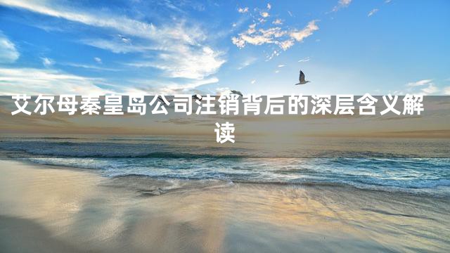艾尔母秦皇岛公司注销背后的深层含义解读