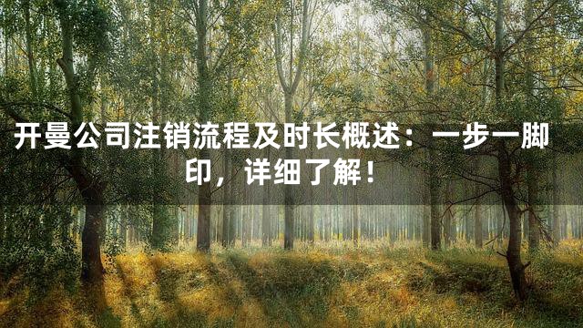 开曼公司注销流程及时长概述：一步一脚印，详细了解！