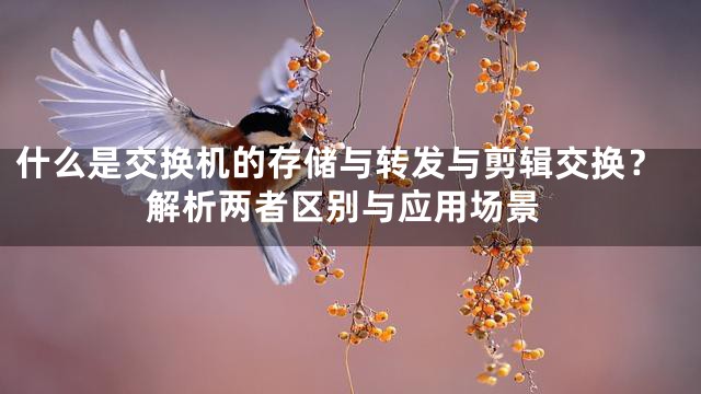 什么是交换机的存储与转发与剪辑交换？解析两者区别与应用场景