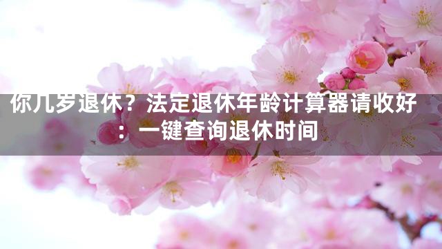 你几岁退休？法定退休年龄计算器请收好：一键查询退休时间