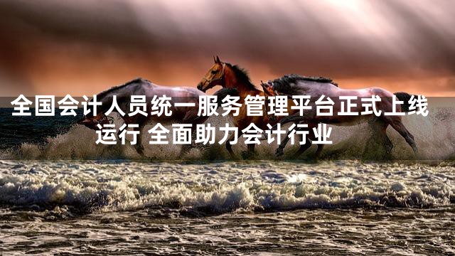 全国会计人员统一服务管理平台正式上线运行 全面助力会计行业