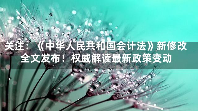关注：《中华人民共和国会计法》新修改全文发布！权威解读最新政策变动