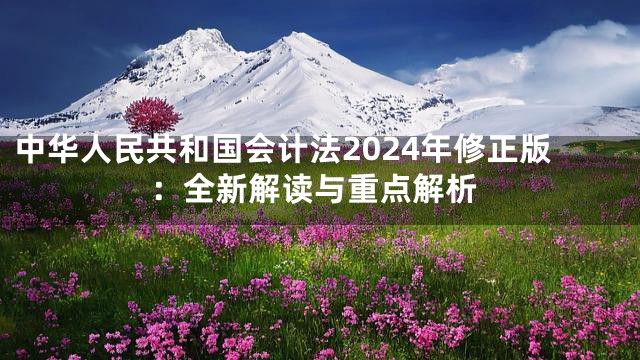 中华人民共和国会计法2024年修正版：全新解读与重点解析