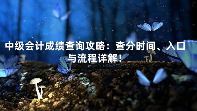 中级会计成绩查询攻略：查分时间、入口与流程详解！