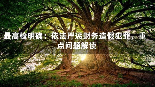 最高检明确：依法严惩财务造假犯罪，重点问题解读