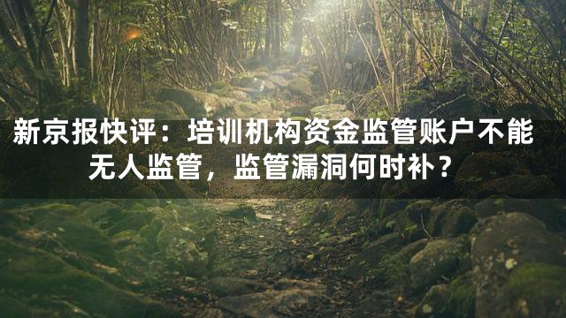 新京报快评：培训机构资金监管账户不能无人监管，监管漏洞何时补？
