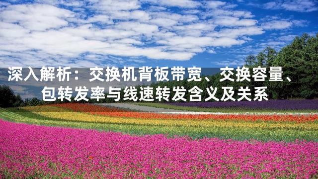 深入解析：交换机背板带宽、交换容量、包转发率与线速转发含义及关系