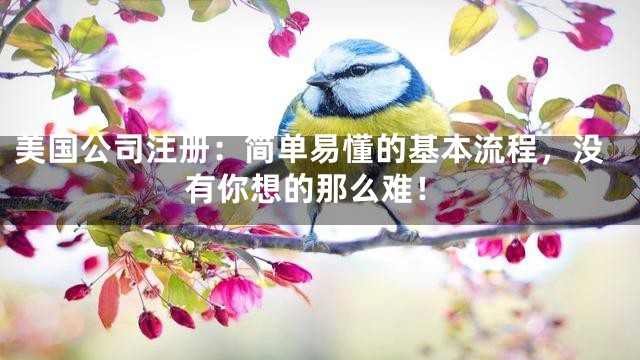 美国公司注册：简单易懂的基本流程，没有你想的那么难！