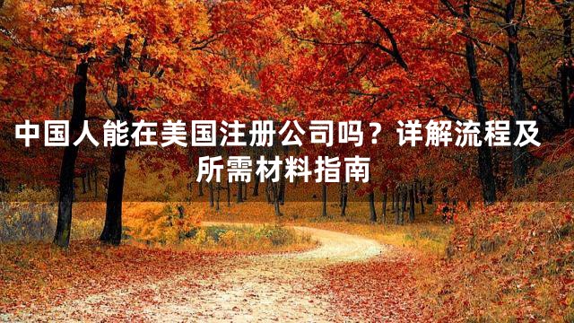 中国人能在美国注册公司吗？详解流程及所需材料指南