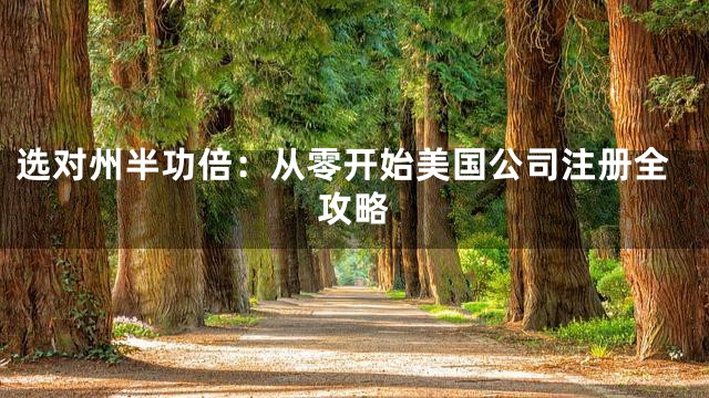 选对州半功倍：从零开始美国公司注册全攻略