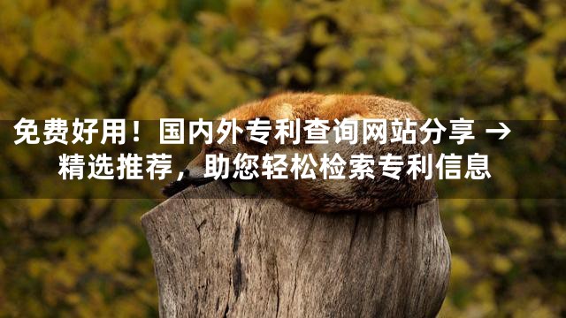 免费好用！国内外专利查询网站分享 →精选推荐，助您轻松检索专利信息
