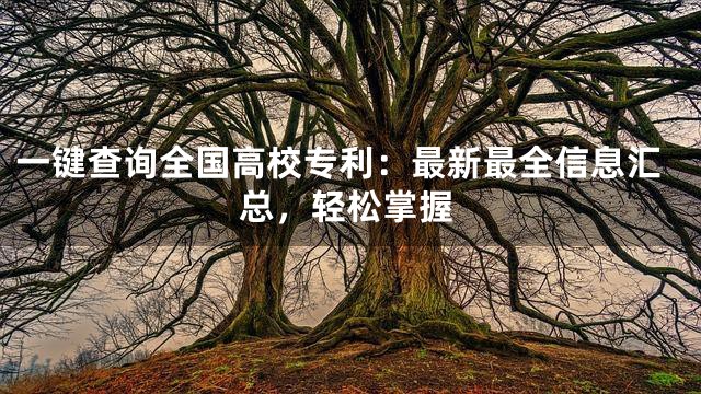 一键查询全国高校专利：最新最全信息汇总，轻松掌握