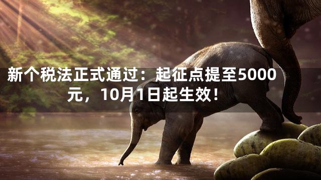 新个税法正式通过：起征点提至5000元，10月1日起生效！