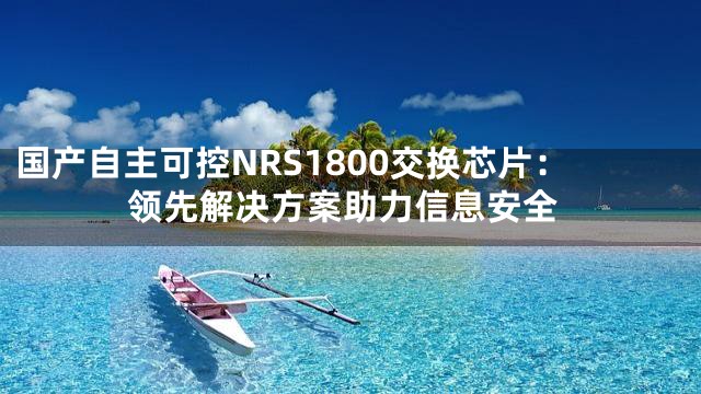 国产自主可控NRS1800交换芯片：领先解决方案助力信息安全