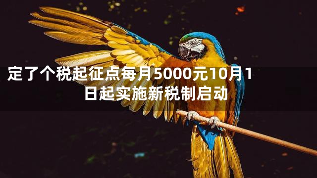 定了个税起征点每月5000元10月1日起实施新税制启动