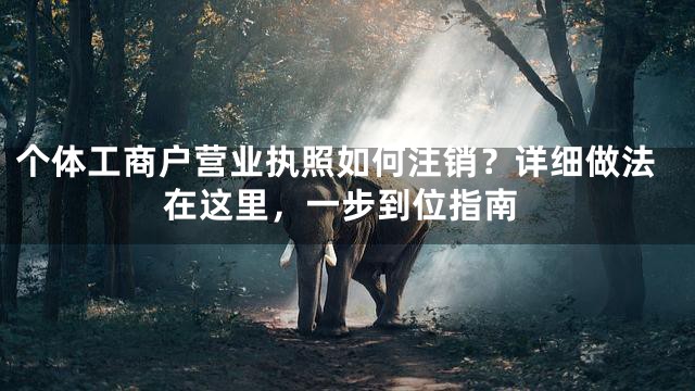 个体工商户营业执照如何注销？详细做法在这里，一步到位指南
