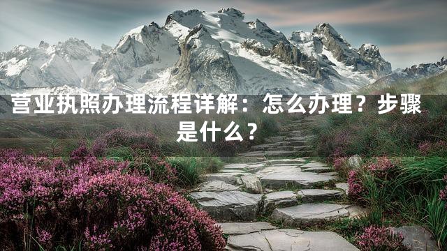 营业执照办理流程详解：怎么办理？步骤是什么？