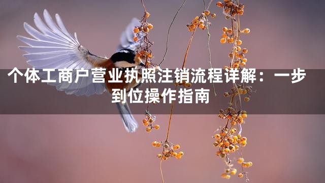 个体工商户营业执照注销流程详解:一步到位操作指南