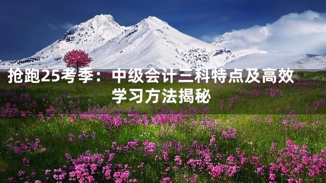 抢跑25考季：中级会计三科特点及高效学习方法揭秘