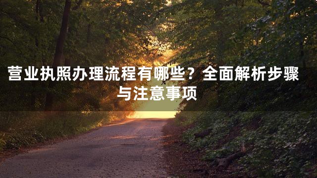 营业执照办理流程有哪些？全面解析步骤与注意事项