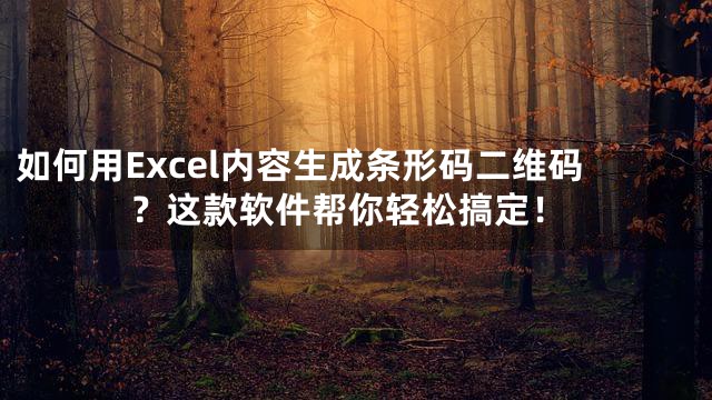 如何用Excel内容生成条形码二维码？这款软件帮你轻松搞定！