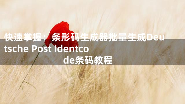 快速掌握：条形码生成器批量生成Deutsche Post Identcode条码教程
