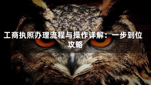 工商执照办理流程与操作详解：一步到位攻略