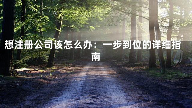 想注册公司该怎么办：一步到位的详细指南