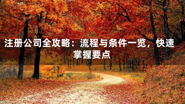 注册公司全攻略:流程与条件一览,快速掌握要点