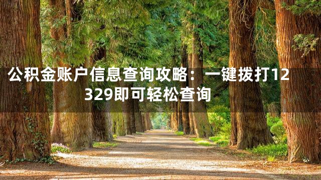 公积金账户信息查询攻略：一键拨打12329即可轻松查询