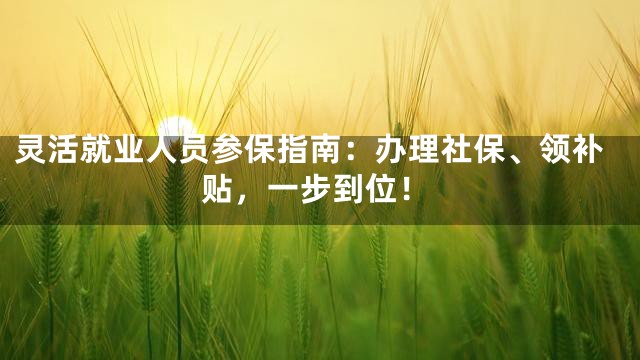 灵活就业人员参保指南：办理社保、领补贴，一步到位！