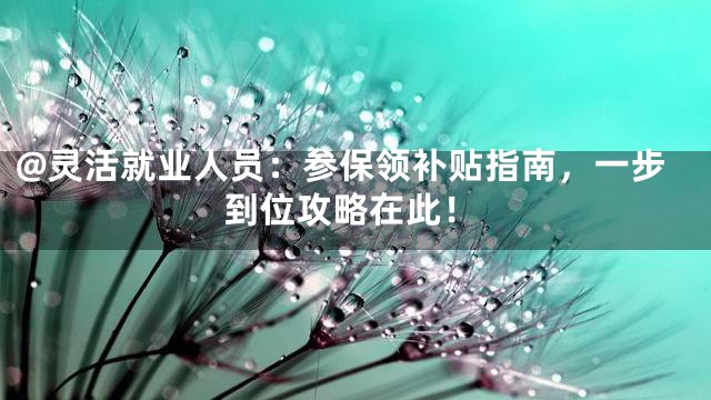 @灵活就业人员：参保领补贴指南，一步到位攻略在此！